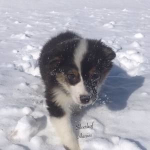 Meet your Posher, Mckayla